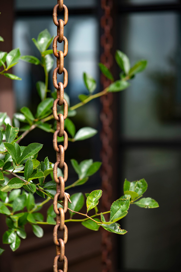 exterior chain and plant decoration detail